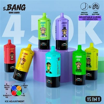 Bang Leader 450k 15 en 1